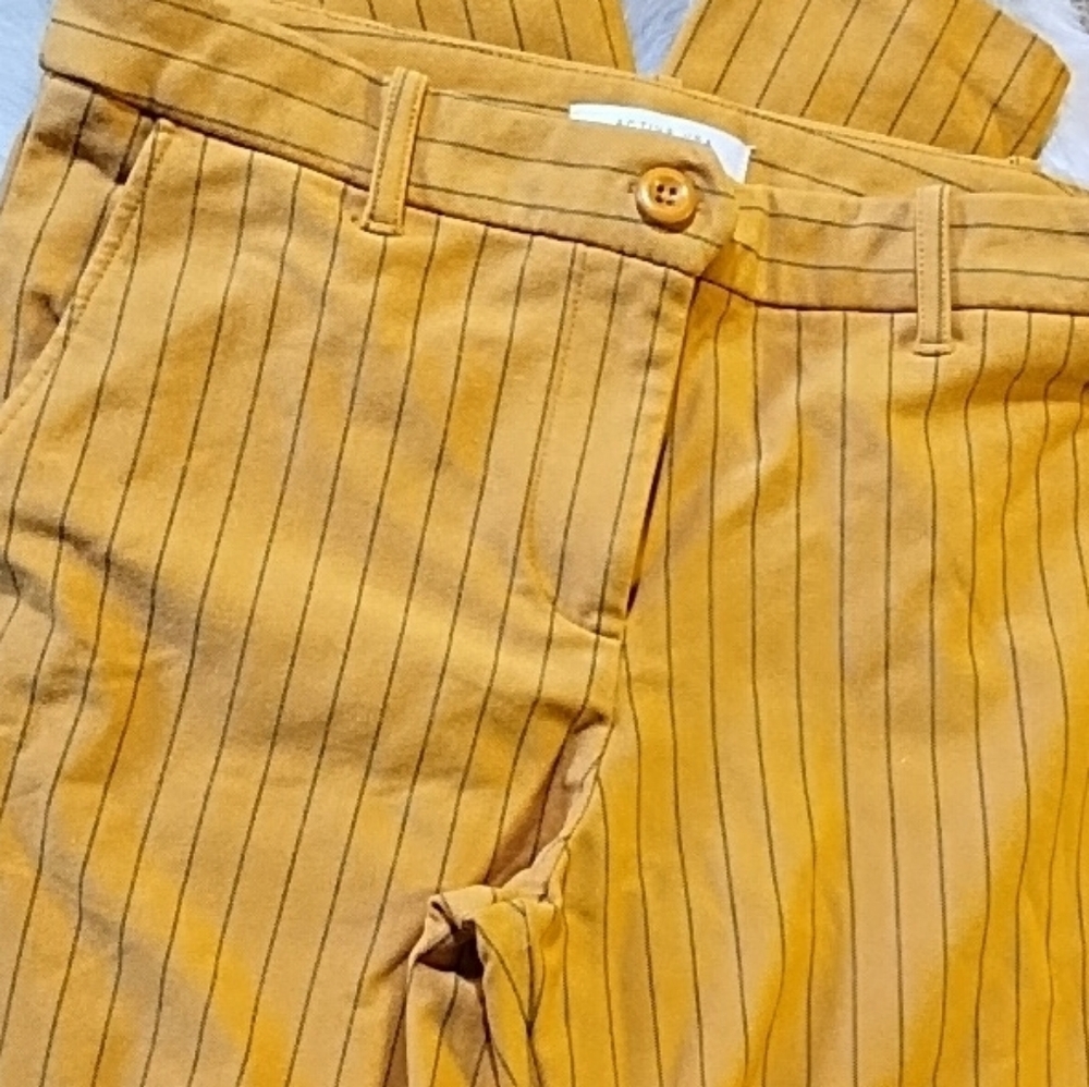 #002 Zara Mustard Pinstripe Pants
